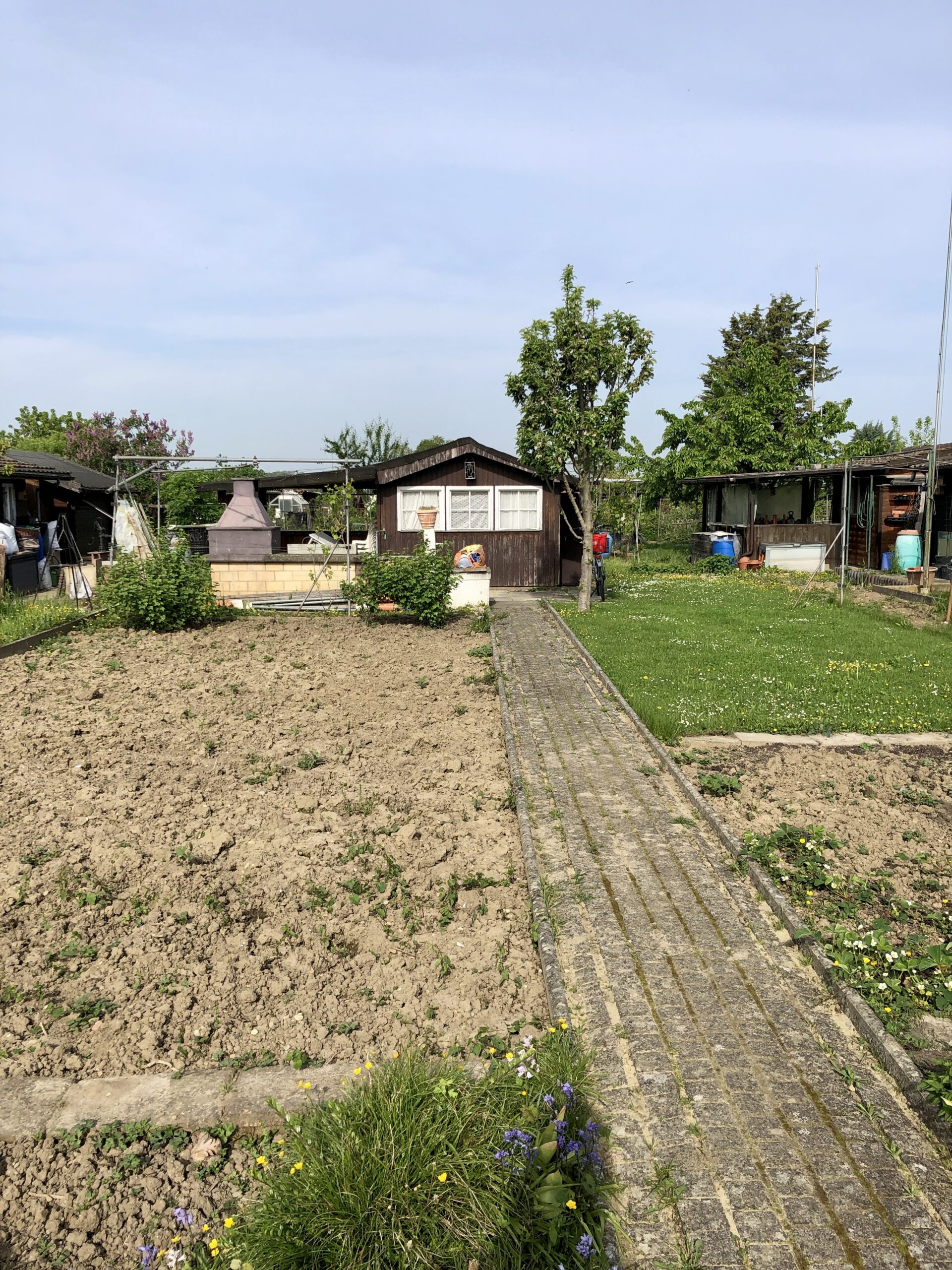 Ein Jahr Schrebergarten! 🏡🌱